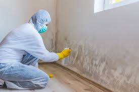 Mold Odor Removal Services in The Plains, OH